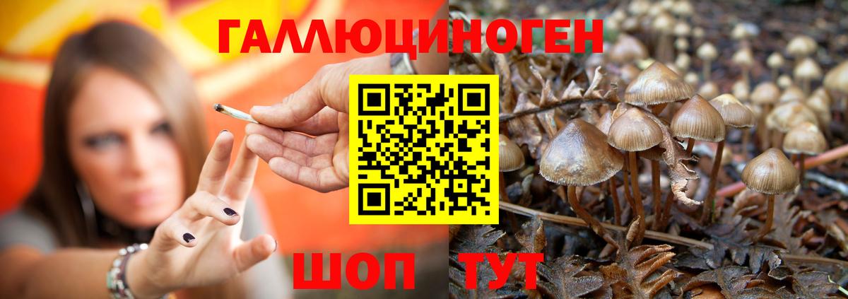 Тутаев  Галлюциногенные грибы GOLDEN TEACHER  Галлюциногенные грибы мухоморы  Вход с VPN 