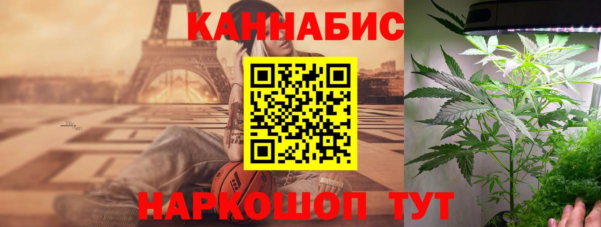 Конопля планчик Тутаев